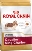 ROYAL CANIN BHN CAVALIER KING CHARLES ADULT száraz táp 0,5 kg