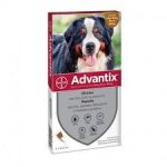 ADVANTIX spot on kutyának 40-60 kg között